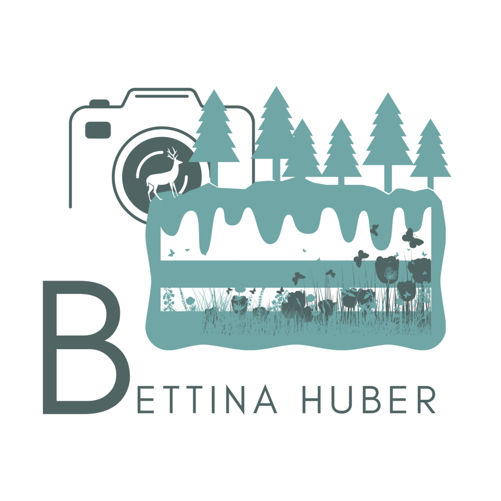 Logo containing a cake, trees, a camera